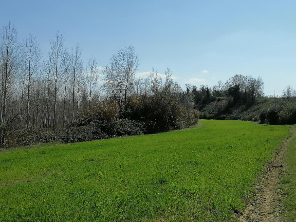 Az.Agricola Agriturismo La Locanda Di Lann Διαμέρισμα Φουσέκιο Εξωτερικό φωτογραφία