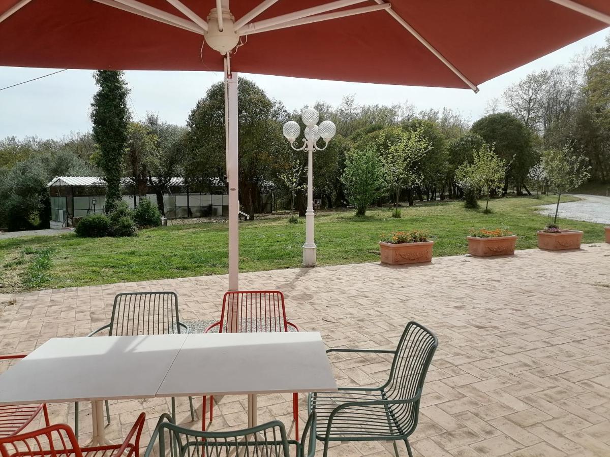 Az.Agricola Agriturismo La Locanda Di Lann Διαμέρισμα Φουσέκιο Εξωτερικό φωτογραφία