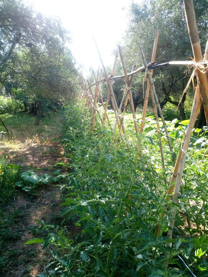 Az.Agricola Agriturismo La Locanda Di Lann Διαμέρισμα Φουσέκιο Εξωτερικό φωτογραφία