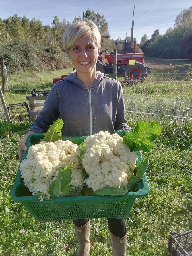 Az.Agricola Agriturismo La Locanda Di Lann Διαμέρισμα Φουσέκιο Εξωτερικό φωτογραφία