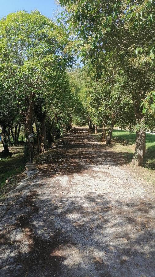 Az.Agricola Agriturismo La Locanda Di Lann Διαμέρισμα Φουσέκιο Εξωτερικό φωτογραφία