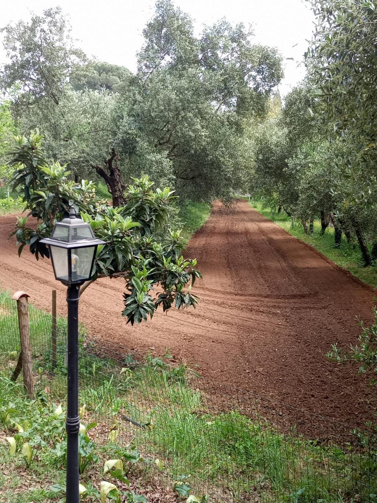 Az.Agricola Agriturismo La Locanda Di Lann Διαμέρισμα Φουσέκιο Εξωτερικό φωτογραφία