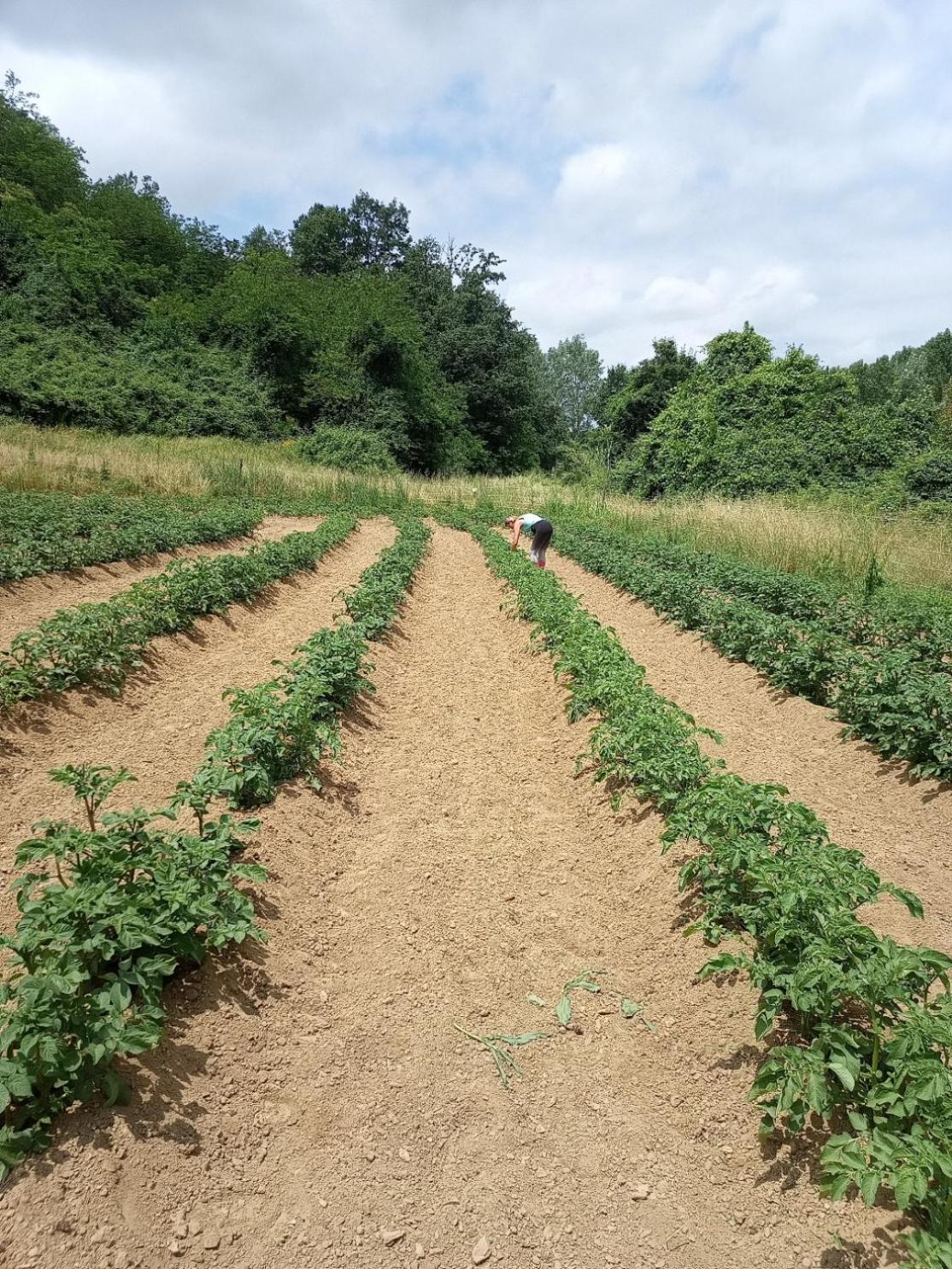 Az.Agricola Agriturismo La Locanda Di Lann Διαμέρισμα Φουσέκιο Εξωτερικό φωτογραφία